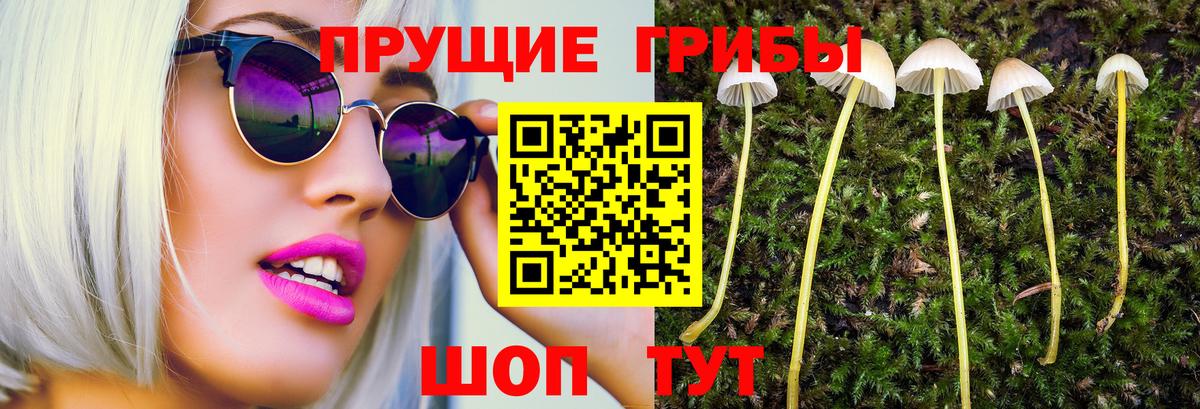 Псилоцибиновые грибы ЛСД  где можно купить наркотик  Алейск  Вход с VPN 