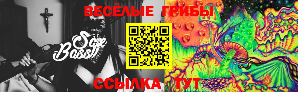 Псилоцибиновые грибы ЛСД Алейск