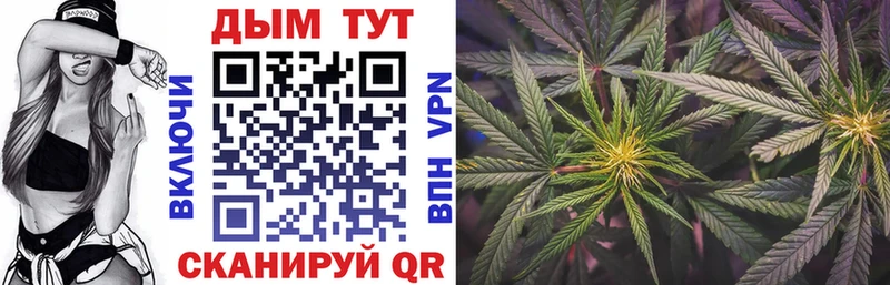 закладка  Алейск  mega зеркало  МАРИХУАНА Bruce Banner 